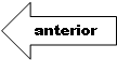Left Arrow: anterior