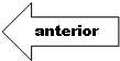 Left Arrow: anterior