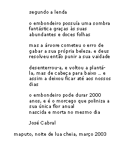 Text Box: segundo a lendao embondeiro possu�a uma sombra fant�stica gra�as �s suas abundantes e doces folhasmas a �rvore cometeu o erro de gabar a sua pr�pria beleza. e deus resolveu ent�o punir a sua vaidadedesenterrou-a, e voltou a plant�-la, mas de cabe�a para baixo � e assim a deixou ficar at� aos nossos diaso embondeiro pode durar 2000 anos, e � o morcego que poliniza a sua �nica flor anual nascida e morta no mesmo diaJos� Cabralmaputo, noite de lua cheia, mar�o 2003
